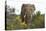 African Elephants 058-Bob Langrish-Stretched Canvas