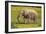 African Elephants 062-Bob Langrish-Framed Photographic Print