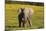 African Elephants 063-Bob Langrish-Mounted Photographic Print