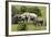 African Elephants 067-Bob Langrish-Framed Photographic Print