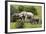 African Elephants 067-Bob Langrish-Framed Photographic Print