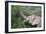 African Elephants 083-Bob Langrish-Framed Photographic Print