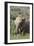 African Elephants 085-Bob Langrish-Framed Photographic Print