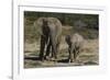 African Elephants 086-Bob Langrish-Framed Photographic Print