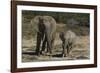 African Elephants 086-Bob Langrish-Framed Photographic Print