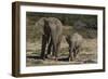 African Elephants 086-Bob Langrish-Framed Photographic Print