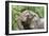 African Elephants 132-Bob Langrish-Framed Photographic Print