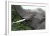 African Elephants 134-Bob Langrish-Framed Photographic Print