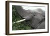 African Elephants 134-Bob Langrish-Framed Photographic Print