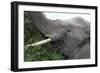 African Elephants 134-Bob Langrish-Framed Photographic Print