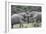 African Elephants 161-Bob Langrish-Framed Photographic Print