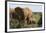 African Elephants 182-Bob Langrish-Framed Photographic Print