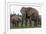 African Elephants 187-Bob Langrish-Framed Photographic Print