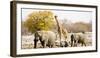African Elephants and Giraffe at Watering Hole, Namibia-Joe Restuccia III-Framed Photographic Print