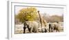 African Elephants and Giraffe at Watering Hole, Namibia-Joe Restuccia III-Framed Photographic Print