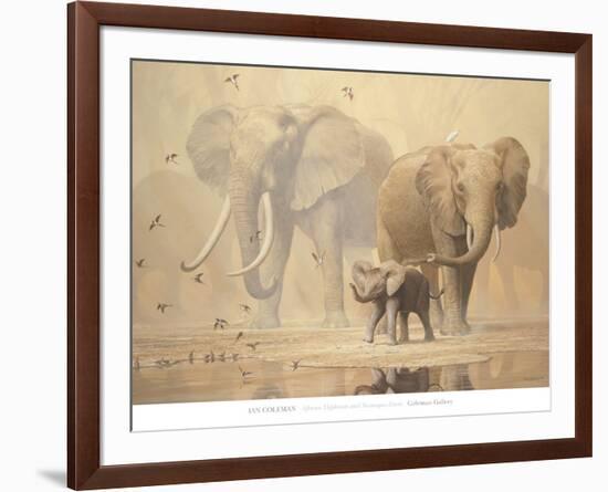 African Elephants and Namaqua Doves-Ian Coleman-Framed Art Print