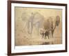 African Elephants and Namaqua Doves-Ian Coleman-Framed Art Print