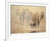 African Elephants and Namaqua Doves-Ian Coleman-Framed Art Print