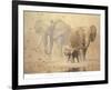 African Elephants and Namaqua Doves-Ian Coleman-Framed Art Print