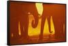 African Elephants at Sunset-Paul Souders-Framed Stretched Canvas