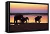 African Elephants at Sunset-null-Framed Stretched Canvas