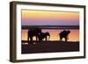 African Elephants at Sunset-null-Framed Premium Photographic Print