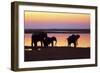 African Elephants at Sunset-null-Framed Photographic Print