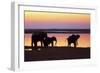 African Elephants at Sunset-null-Framed Photographic Print