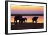 African Elephants at Sunset-null-Framed Photographic Print