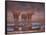 African Elephants at Water Hole, Etosha Np, Namibia-Tony Heald-Framed Photographic Print