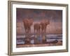 African Elephants at Water Hole, Etosha Np, Namibia-Tony Heald-Framed Photographic Print