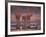 African Elephants at Water Hole, Etosha Np, Namibia-Tony Heald-Framed Photographic Print