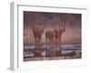 African Elephants at Water Hole, Etosha Np, Namibia-Tony Heald-Framed Photographic Print