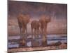 African Elephants at Water Hole, Etosha Np, Namibia-Tony Heald-Mounted Photographic Print