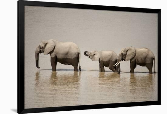 African Elephants Crossing River-Michele Westmorland-Framed Photographic Print