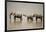 African Elephants Crossing River-Michele Westmorland-Framed Photographic Print