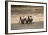 African Elephants Crossing River-Michele Westmorland-Framed Photographic Print