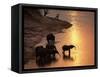 African Elephants Drinking in Chobe River at Sunset, Botswana, Southern Africa-Tony Heald-Framed Stretched Canvas