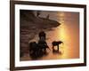 African Elephants Drinking in Chobe River at Sunset, Botswana, Southern Africa-Tony Heald-Framed Photographic Print