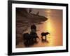 African Elephants Drinking in Chobe River at Sunset, Botswana, Southern Africa-Tony Heald-Framed Photographic Print