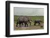 African Elephants (Loxodonta Africana), Amboseli National Park, Kenya, East Africa, Africa-Sergio Pitamitz-Framed Photographic Print