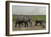 African Elephants (Loxodonta Africana), Amboseli National Park, Kenya, East Africa, Africa-Sergio Pitamitz-Framed Photographic Print