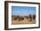 African Elephants (Loxodonta Africana) at Hapoor Waterhole-Ann and Steve Toon-Framed Photographic Print