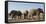 African elephants (Loxodonta africana) at waterhole, Botswana, Africa-Sergio Pitamitz-Framed Stretched Canvas