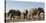 African elephants (Loxodonta africana) at waterhole, Botswana, Africa-Sergio Pitamitz-Stretched Canvas