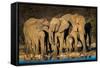 African Elephants (Loxodonta Africana) at Waterhole, Etosha National Park, Namibia-null-Framed Stretched Canvas