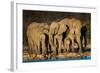 African Elephants (Loxodonta Africana) at Waterhole, Etosha National Park, Namibia-null-Framed Photographic Print