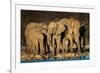 African Elephants (Loxodonta Africana) at Waterhole, Etosha National Park, Namibia-null-Framed Photographic Print