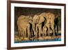 African Elephants (Loxodonta Africana) at Waterhole, Etosha National Park, Namibia-null-Framed Photographic Print