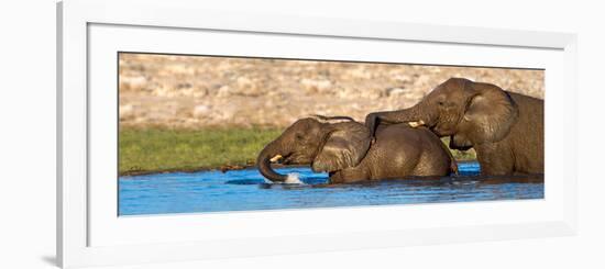 African Elephants (Loxodonta Africana) Bathing at Waterhole, Etosha National Park, Namibia-null-Framed Photographic Print